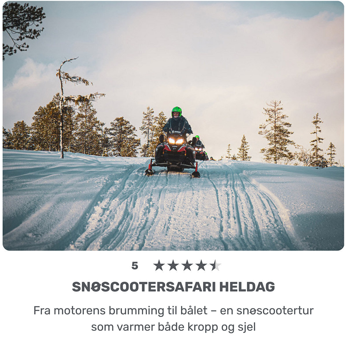 Snøscootersafari heldag